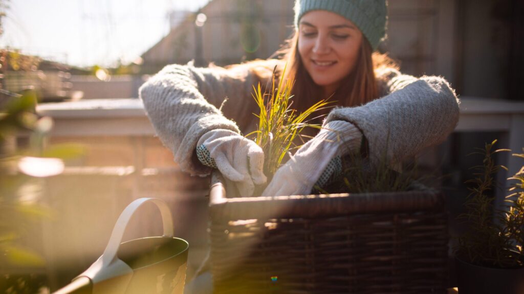 O ciclo natural não termina com o outono. É nesse período que começam os preparativos para a primavera.
