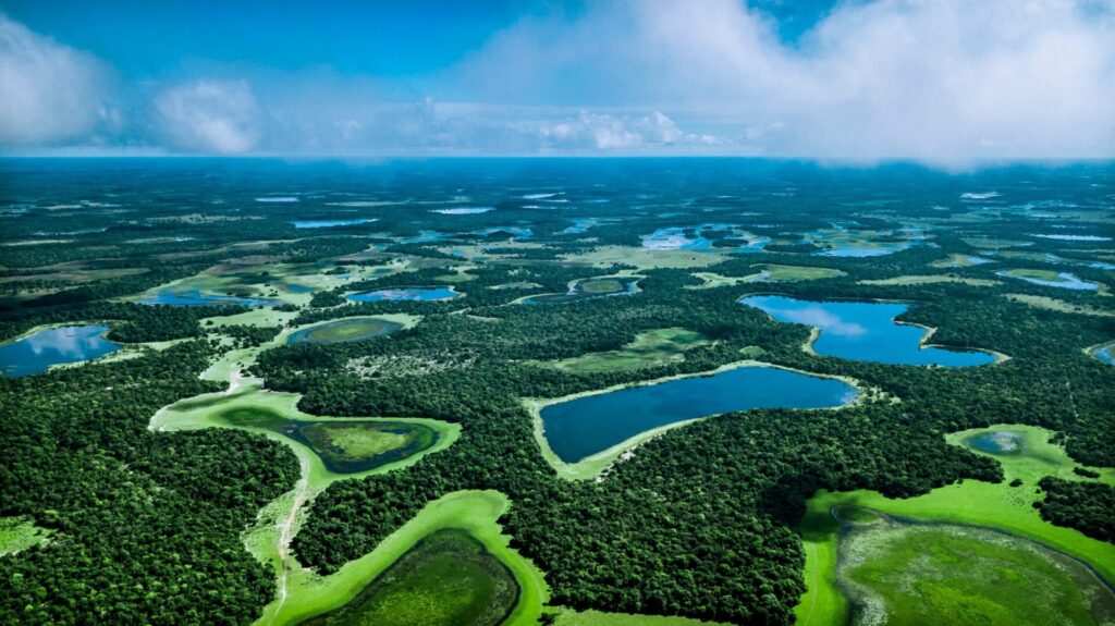 O Pantanal tem uma biodiversidade única. Existem mais de 4.700 animais e plantas.