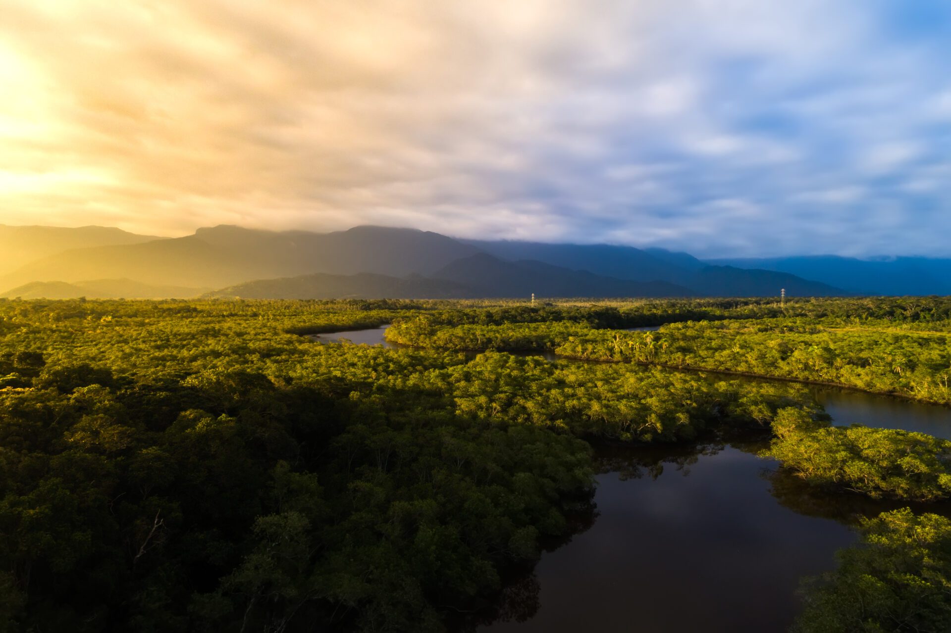 A floresta amazônica é um dos principais contribuintes para a estabilização do clima.