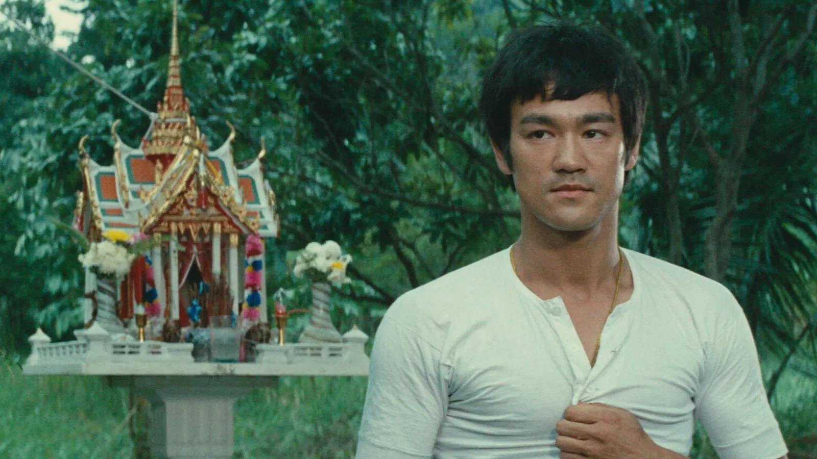 Embora Bruce Lee tenha morrido muito cedo, ele conseguiu deixar sua marca na mente das pessoas em todo o mundo.