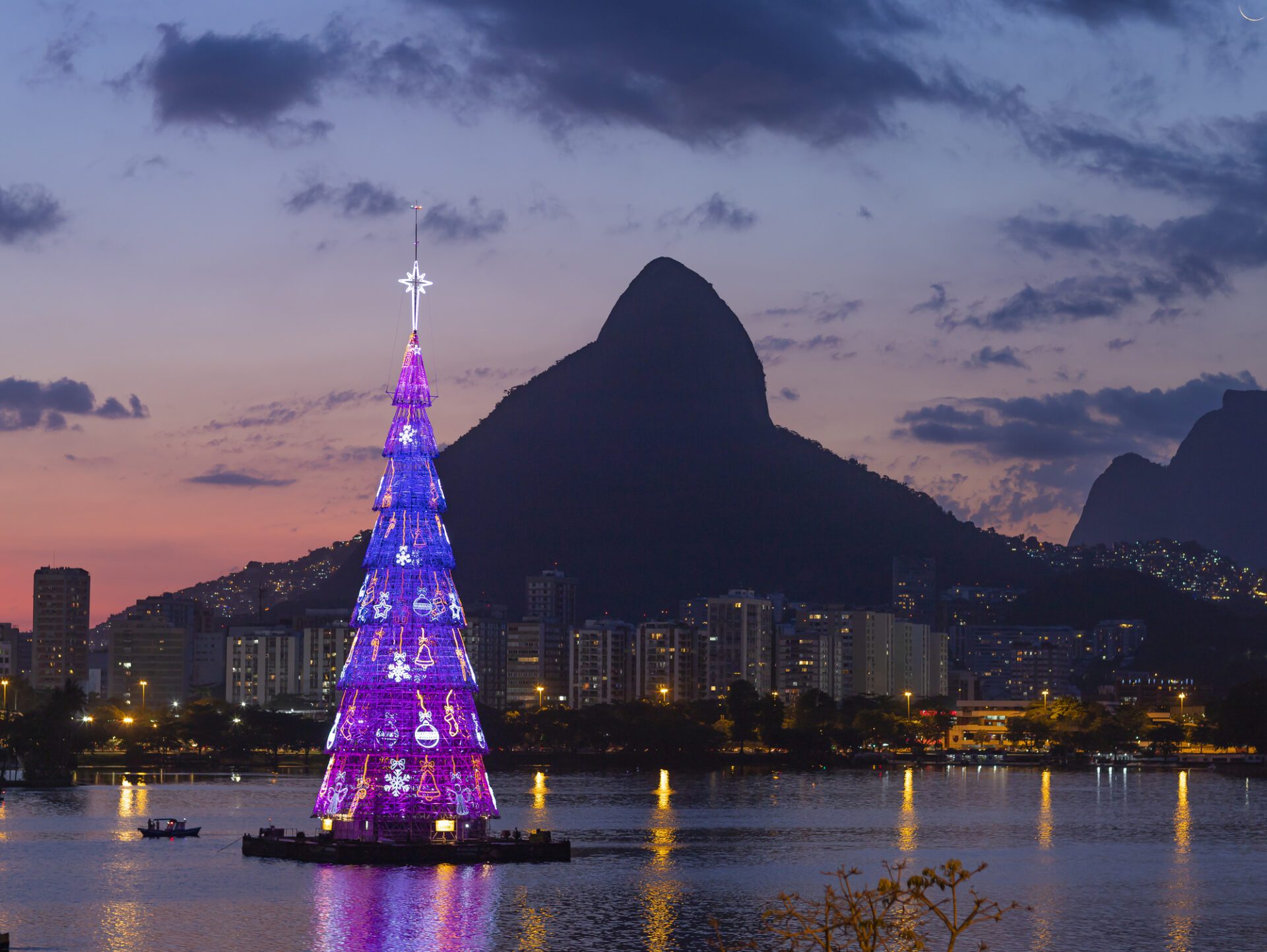 As árvores flutuantes são muito populares no Brasil.