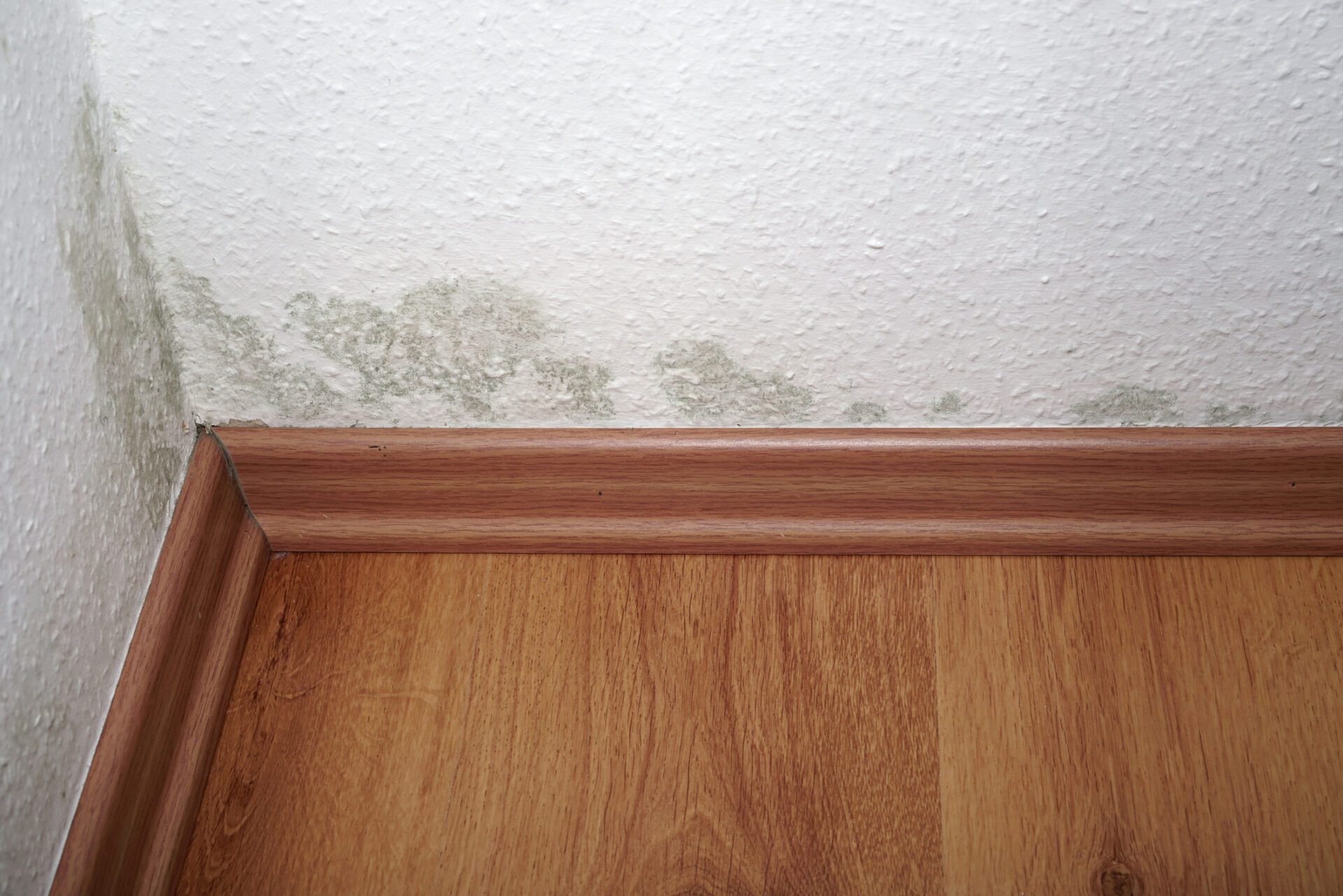 A ventilação inadequada no apartamento pode causar mofo. Posteriormente, eles causam problemas de saúde e são difíceis de eliminar.