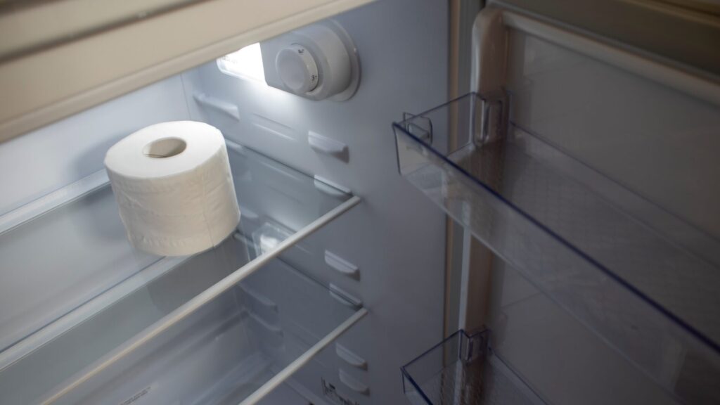 À primeira vista, o papel higiênico não deve ficar na geladeira. Mas temos alguns motivos para colocá-lo lá.