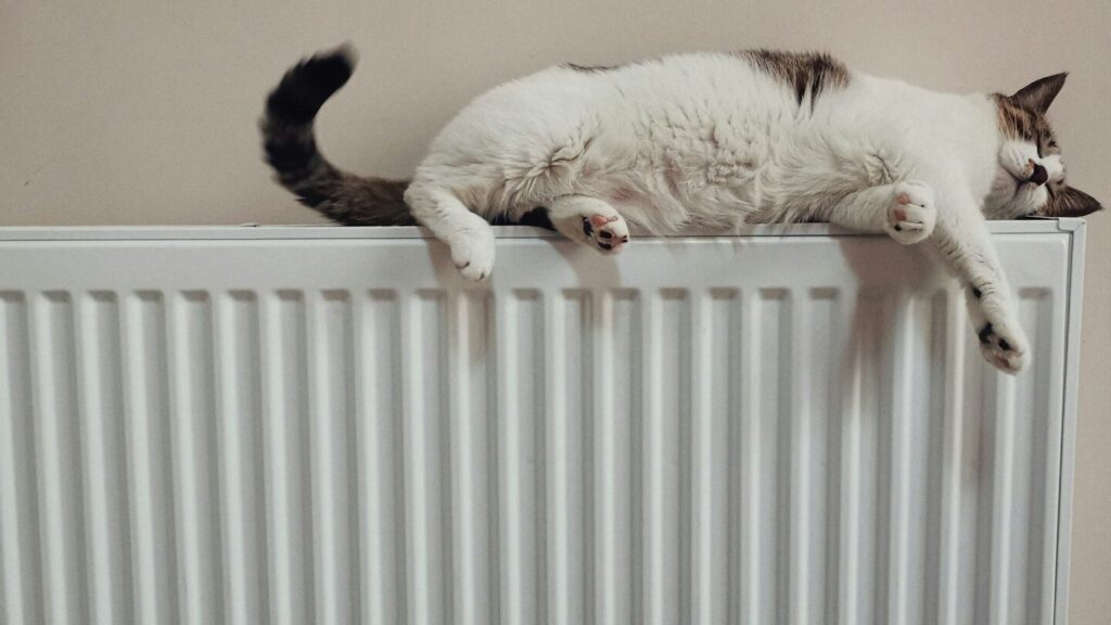 A qualidade do seu sono é afetada pela temperatura do quarto. Poucas pessoas se dão conta de como é ideal instalar um radiador no inverno.