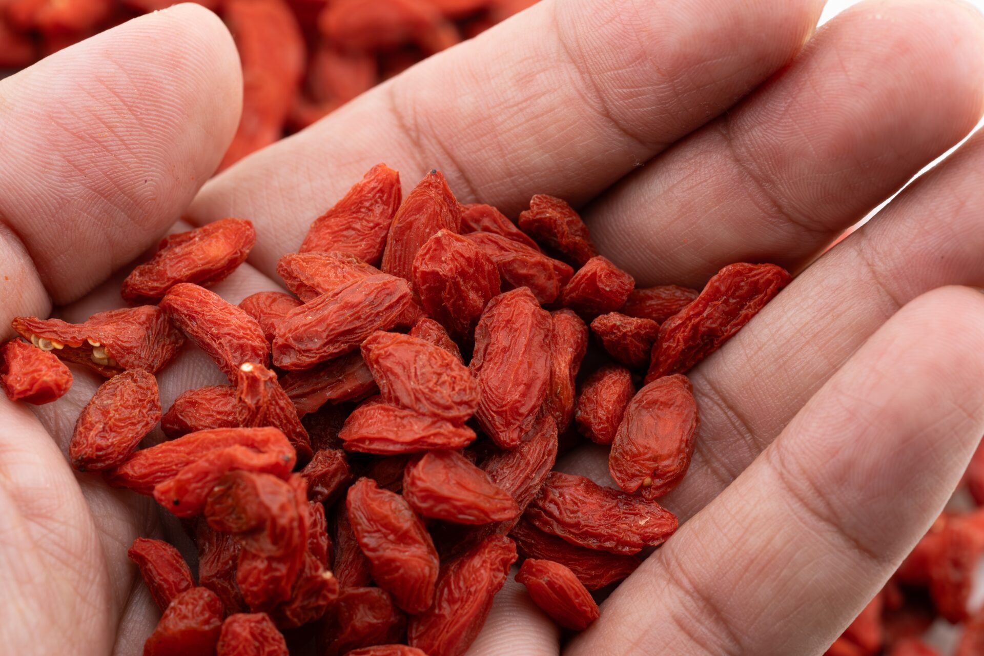 Os benefícios das bagas de goji para a saúde são conhecidos há milhares de anos.