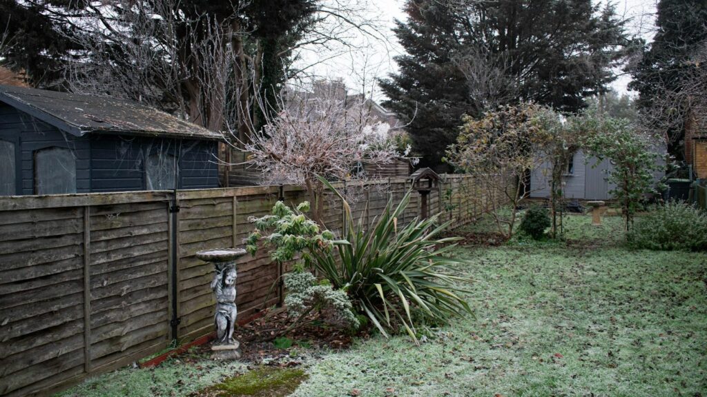Jardinagem em fevereiro: o que você precisa fazer agora