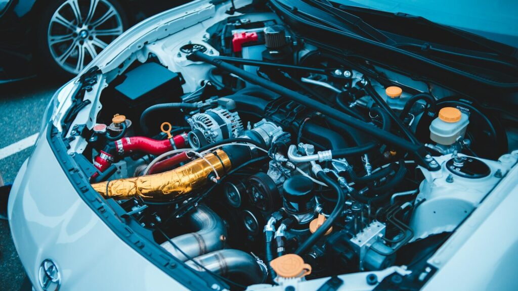 Um motor de carro danificado pode ser um problema caro e muito desagradável. Proteja seu carro dos coelhos
