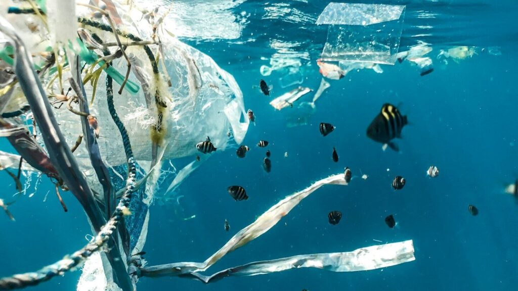 Estudo recém-confirmado: partículas microplásticas perigosas encontradas em tumores de próstata