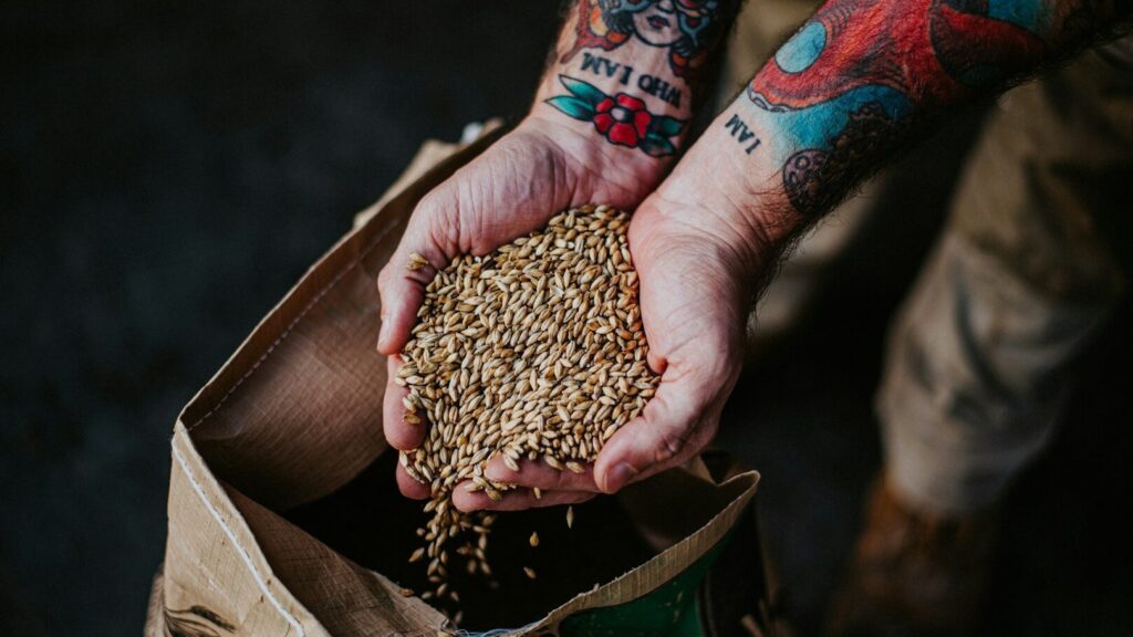 A cevada é um alimento que muitos de nós normalmente não usamos na cozinha. No entanto, ela tem vários benefícios positivos para a saúde