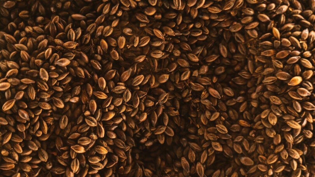 Benefícios do consumo diário de linhaça: um superalimento natural que apoia a saúde do coração, do intestino e da pele